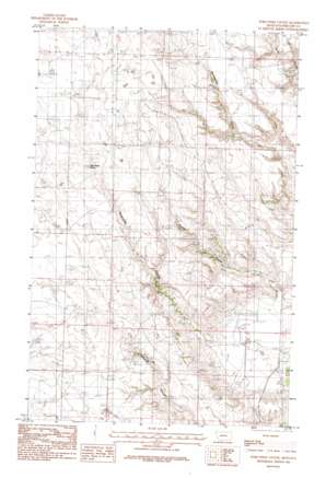 Porcupine Coulee USGS topographic map 48107f3