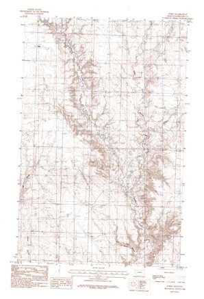 Forks USGS topographic map 48107f4