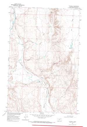 Tattnall USGS topographic map 48107f5