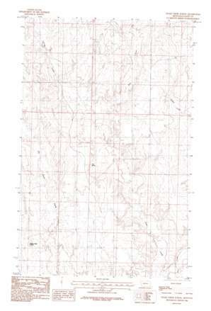 Snake Creek School USGS topographic map 48107g1