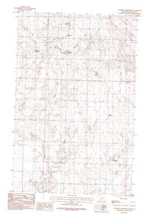 Salsbery Reservoir USGS topographic map 48107g4