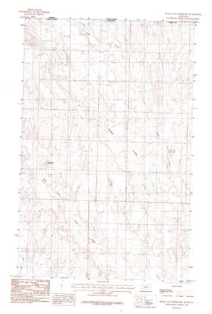 Black Calf Reservoir USGS topographic map 48107h1