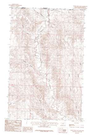 Thoeny Hills East USGS topographic map 48107h3
