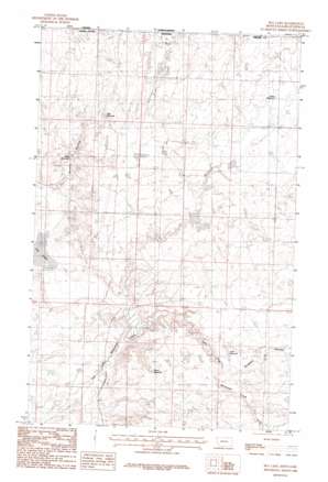 Pea Lake USGS topographic map 48107h5