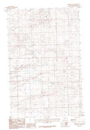 Hubert Hill SW USGS topographic map 48108e2