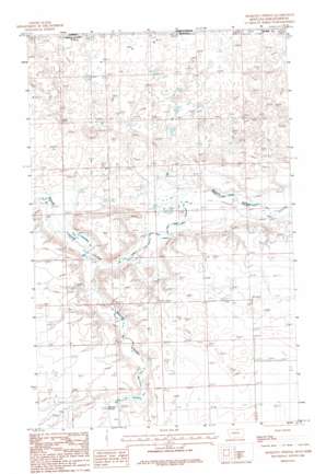 Mosquito Springs topo map
