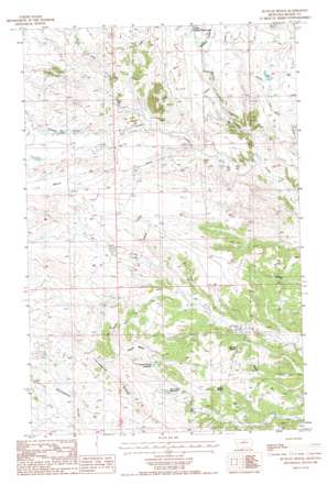 Runyan Bench USGS topographic map 48109a2