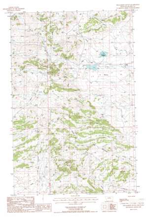 Williamson Butte topo map
