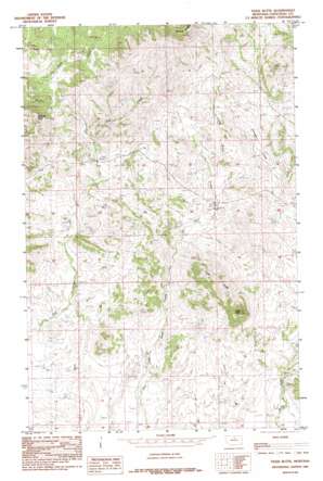 Tiger Butte USGS topographic map 48109a6