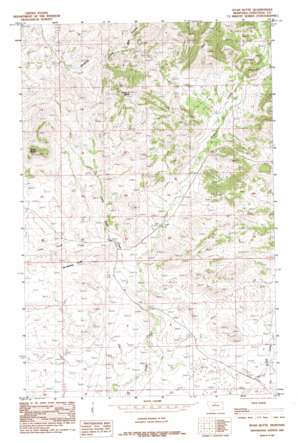 Ryan Butte USGS topographic map 48109a7