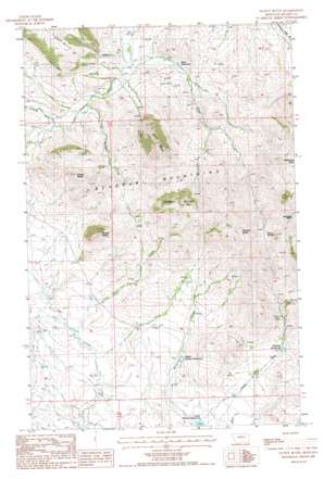 Scotty Butte USGS topographic map 48109b2