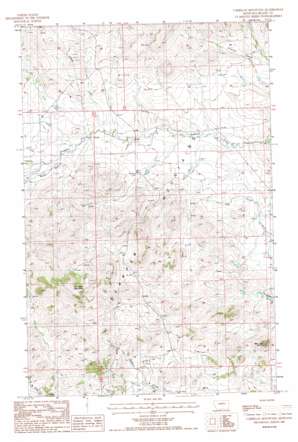 Corrigan Mountain USGS topographic map 48109b3