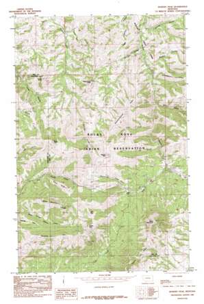 Bowery Peak USGS topographic map 48109b6