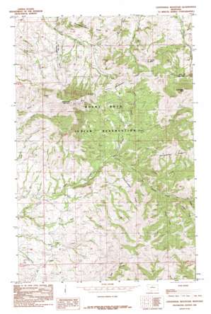 Centennial Mountain topo map