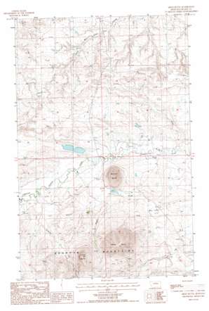 Miles Butte USGS topographic map 48109c1