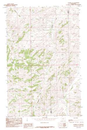 Shambo SE USGS topographic map 48109c5