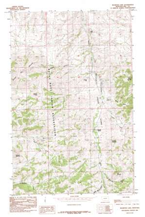 Bearpaw Lake USGS topographic map 48109c6