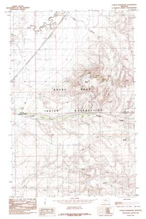 Cowan Reservoir USGS topographic map 48109c8