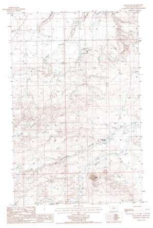 Sayer Butte USGS topographic map 48109d3