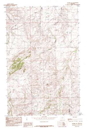 Shambo NE USGS topographic map 48109d5