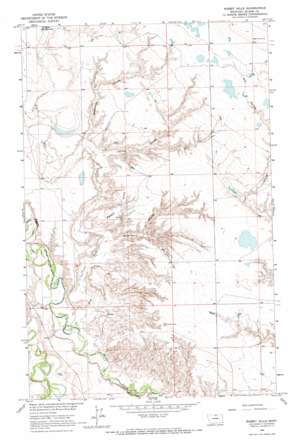 Rabbit Hills USGS topographic map 48109f2