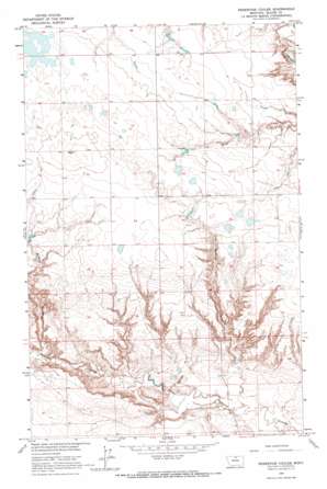 Reservoir Coulee USGS topographic map 48109f4