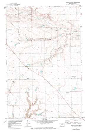 Quigley Coulee topo map