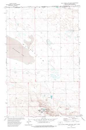 Wild Horse Lake East USGS topographic map 48109h8