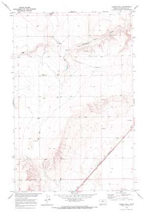 Ihmsen Well USGS topographic map 48110b2