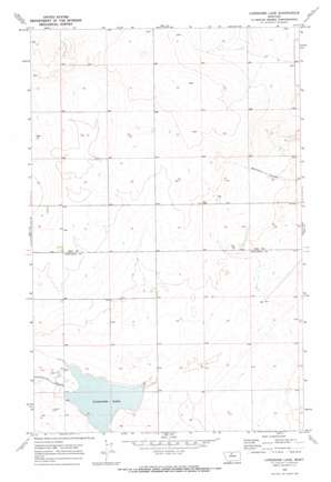 Lonesome Lake USGS topographic map 48110c2