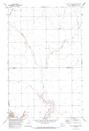 Rocky Coulee SE USGS topographic map 48110c5