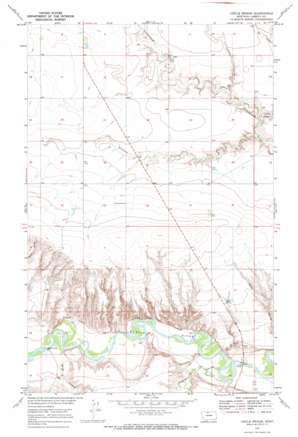 Circle Bridge USGS topographic map 48110c8