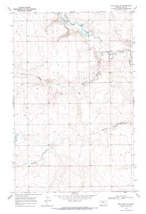 Box Elder NW USGS topographic map 48110d2