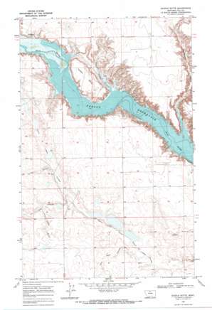 Saddle Butte USGS topographic map 48110f1
