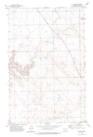 Saint Johns USGS topographic map 48110g1