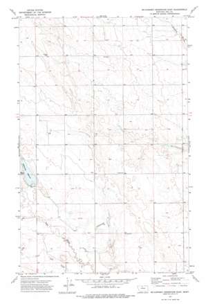 McKinnsey Reservoir East USGS topographic map 48110g4