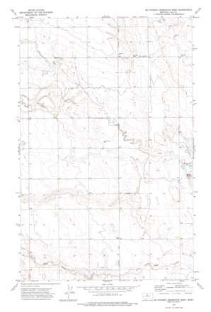 McKinnsey Reservoir West USGS topographic map 48110g5
