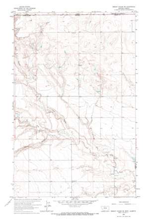Bobcat Coulee NE USGS topographic map 48110h7