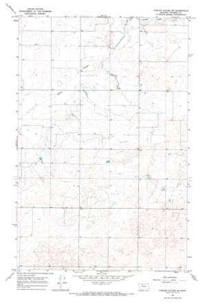 Fowler Coulee Se topo map