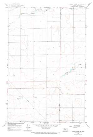 Fowler Coulee Sw topo map