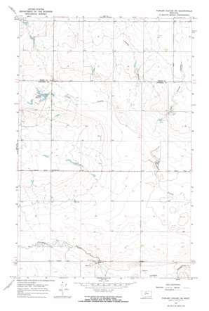 Fowler Coulee Ne USGS topographic map 48111b5