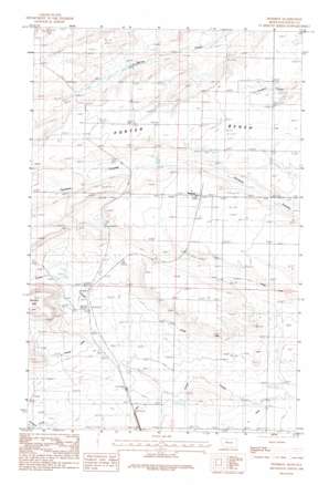 Pendroy USGS topographic map 48112a3