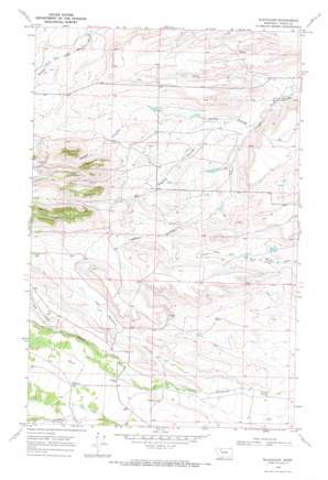 Blackleaf USGS topographic map 48112a5
