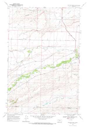 Dupuyer West USGS topographic map 48112b5