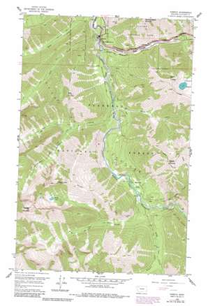 Mount Bradley USGS topographic map 48113b5