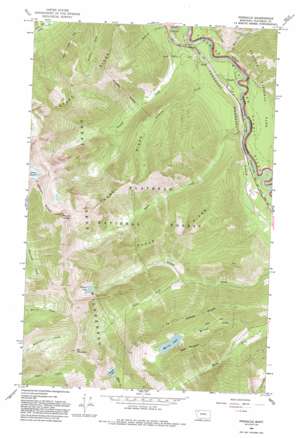 Pinnacle USGS topographic map 48113c6