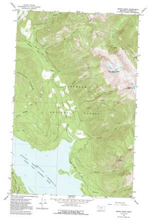 Mount Grant topo map