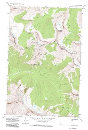 Mount Stimson USGS topographic map 48113e5
