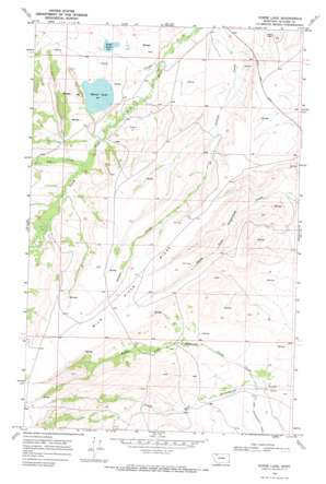 Horse Lake USGS topographic map 48113f2