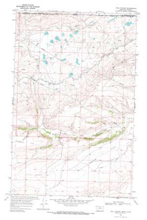 Hall Coulee topo map